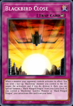 Blackbird Close Yu-Gi-Oh! L5DD-ENC25 1st Ultra Rare - Image 1