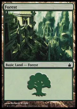 MTG Magic the Gathering Forest (306/306) Ravnica City of Guilds MP - Image 1