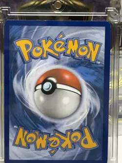 2016 POKEMON XY BLACK STAR PROMO COLLECTOR CHEST M GENGAR EX #XY166 HOLO HP - Image 2