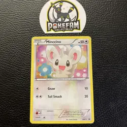 Minccino BW13 Promo BW Black Star Promos Pokemon MP - Image 1