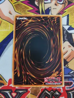 Mystical Elf lcyw-en005 1st Edition (NM+) Common Yu-Gi-Oh! - Image 2