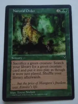 MTG Magic the Gathering English Natural Order 1996 Visions LP - Image 1