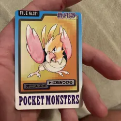 Pokemon Card Spearow & Fearow File No. 021 & 022 LOT Carddass Bandai 1997 LP-MP - Image 2