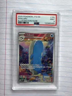 Wailord Illustration Rare 2025 Pokemon JTG EN #162 Mint PSA 9 132869468 - Image 1