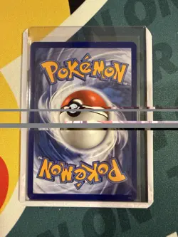 Pokemon 2026 First Partner Illustration Collection Series 1 Promos Set Kanto - Image 3