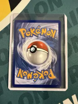 Pokemon 2026 First Partner Illustration Collection Series 1 Promos Set Kanto - Image 5