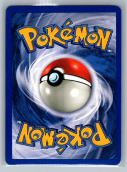 Dark Gyarados 8/82 Holo Team Rocket Prerelease Promo Pokemon Card - NM SWIRL - Image 2