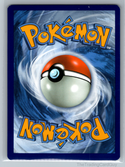 Pokemon Card Hitmonchan 62/108 Holo Rare XY Evolutions Singles LP - Image 2