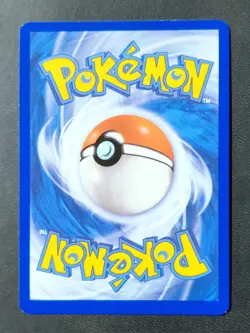 Pokemon Timburr 183/167 Illustration Rare Full Art Holo Basic Fighting 80 HP - Image 2