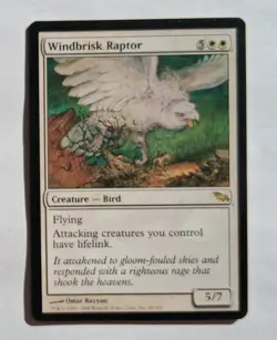 Magic MTG - Windbrisk Raptor - Shadowmoor - NM - Image 1