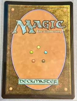 Swamp #255 - Foil - Basic Land - MTG TMNT - NEAR MINT - Image 4