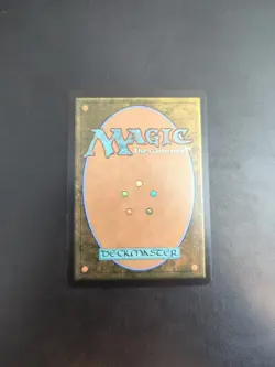 Hallowed Fountain 0265 MTG Near Mint - Image 2