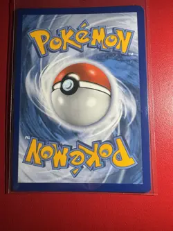 Pokemon Pikachu Black Star SWSH234 Holo Promo Pokemon Go Tin - Image 4