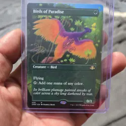 Magic The Gathering Collection - Image 2