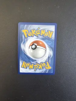 Carte Pokemon Groudon de Team Magma 9/95 Celebrations 25e Anniversaire NEUF - Image 2
