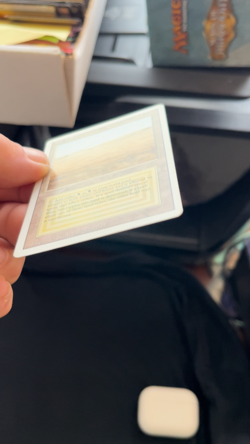 Magic the Gathering Savannah Revised NM - Image 2