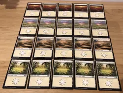 Plains (White) - Basic Lands x20 Cards - Magic the Gathering MTG M20 Excellent - Image 1