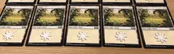 Plains (White) - Basic Lands x20 Cards - Magic the Gathering MTG M20 Excellent - Image 2