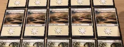 Plains (White) - Basic Lands x20 Cards - Magic the Gathering MTG M20 Excellent - Image 3