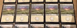 Plains (White) - Basic Lands x20 Cards - Magic the Gathering MTG M20 Excellent - Image 4