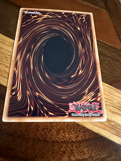 Exiled Force SDWS-EN008 1st Edition Common LP + BONUS - Image 2