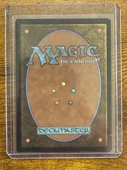 MTG The Walls Of Ba Sing Se Avatar: The Last Airbender Near Mint 0261 - Image 2