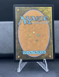 Magic the Gathering, Spider-man - Spider-Punk, #0210 - Borderless, Foil - Image 2