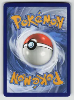Lucario V Holofoil Promo SWSH: Sword & Shield Promo Cards SWSH213 NM - Image 2