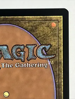 MTG Waste Not - 117 / English / Lightly Played / Magic The Gathering - Image 4