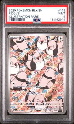 2025 POKEMON BLK EN-BLACK BOLT ILLUSTRATION RARE #148 PIDOVE PSA 9 - Image 2