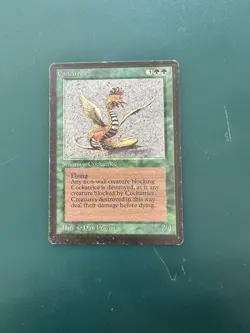 MtG Cockatrice: Beta MP ACTUAL PHOTOS! - Image 1