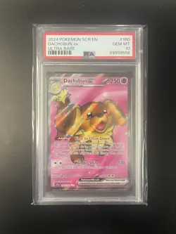 2024 POKEMON SCR EN-STELLAR CROWN ULTRA RARE #160 DACHSBUN EX PSA 10 - Image 1