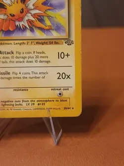 Jolteon - 20/64 - Pokemon Jungle Unlimited Non Holo HP - Image 4