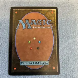 MTG - Northern Paladin - Revised - LP - MAGIC CARD - Image 2