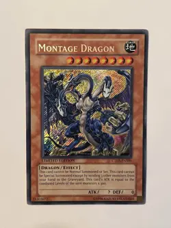 Montage Dragon CT05-ENS01 2008 Collectors Tin Limited Edition - Image 1