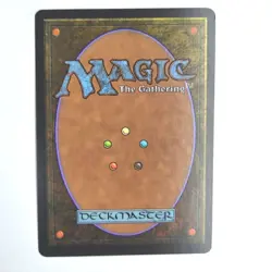 Rune of Protection: Lands NM Urza's Saga English Rare 1998 39/350 MTG NM - Image 2