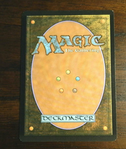 Magic the Gathering Foil Land Singles - Image 3