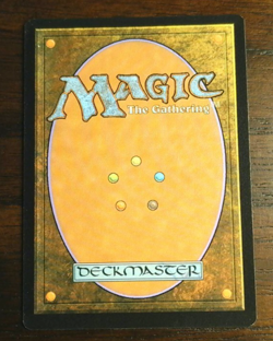 Magic the Gathering Foil Land Singles - Image 5