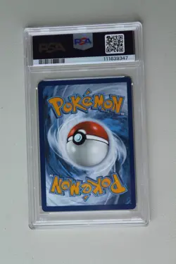 PSA 10 EEVEE 2025 Pokemon Black Star Promo #173 - Image 2