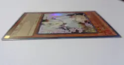 Ash Blossom & Joyous Spring DUDE-EN003 (Ultra Rare, 1st Edition, Lightly Played) - Image 3