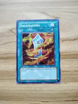 Yu-Gi-Oh! - Salamandra - Prismatic Secret Rare / Holo (PSR) - DDS-006 - Image 3