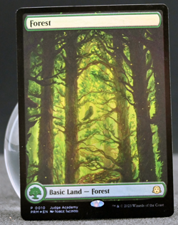 MTG Magic the Gathering Swamp (10/10) Judge Academy Gift Cards 2023 LP FOIL - Image 1