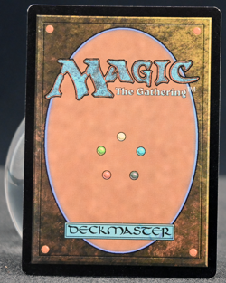 MTG Magic the Gathering Swamp (10/10) Judge Academy Gift Cards 2023 LP FOIL - Image 2