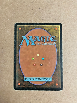 MTG Revised Savannah Lions - Image 2