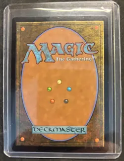 Magic The Gathering Delighted Halfling Rare NM The Lord of the Rings - Image 2