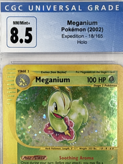 CGC 8.5 Meganium 18/165 Expedition Holo 2002 Pokemon WOTC Slab - Image 2