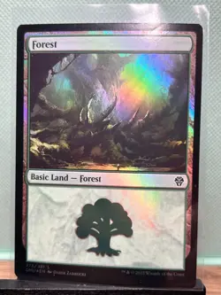 MTG TCG: Forest 276/281, Dominaria United _ FOIL - Image 1
