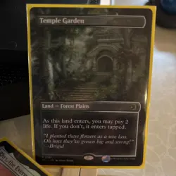 Temple Garden (Borderless) Lorwyn Eclipsed Regular - Image 2