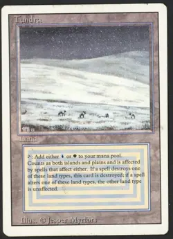 ***Tundra*** MTG Revised Magic Kid Icarus - Image 1