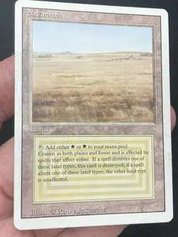 ***Savannah (Light Indent)*** MTG Revised Magic Kid Icarus - Image 3